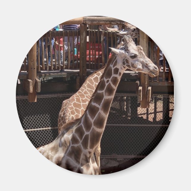 Imã Avó Magnet nº 1 (Frente)