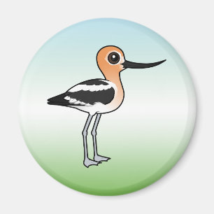 Imã Avocet americano