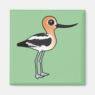 Imã Avocet americano