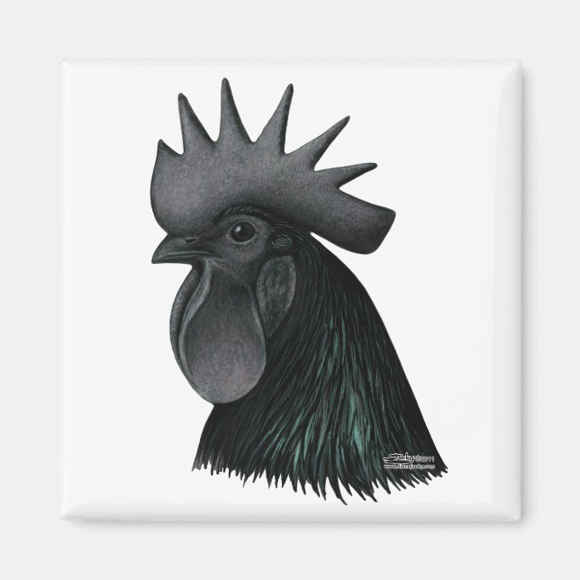 Imã Ayam Cemani Rooster Head (Frente)