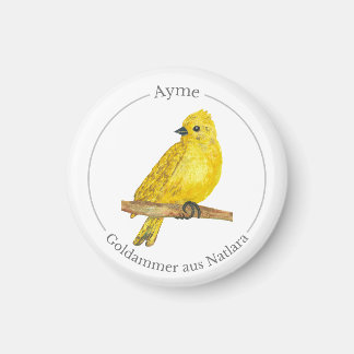 Imã Ayme -  Goldammer aus Natlara