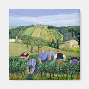 Imã Azeitonas e girassóis do vinhedo