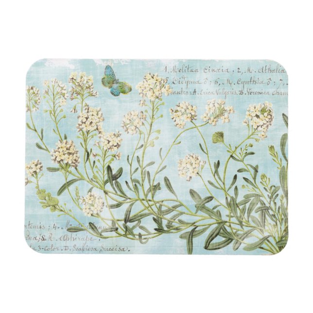 Ímã Azul Botânico (Horizontal)