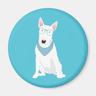 Imã Azul bull terrier