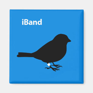 Imã Azul de banda