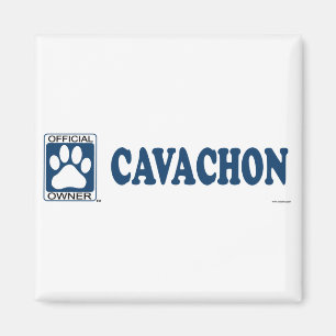 Imã Azul de Cavachon