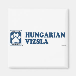 Imã Azul de Vizsla do Hungarian