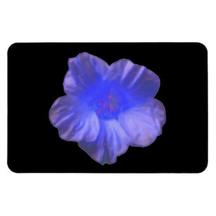 Ímã azul do prêmio da flor da chagas