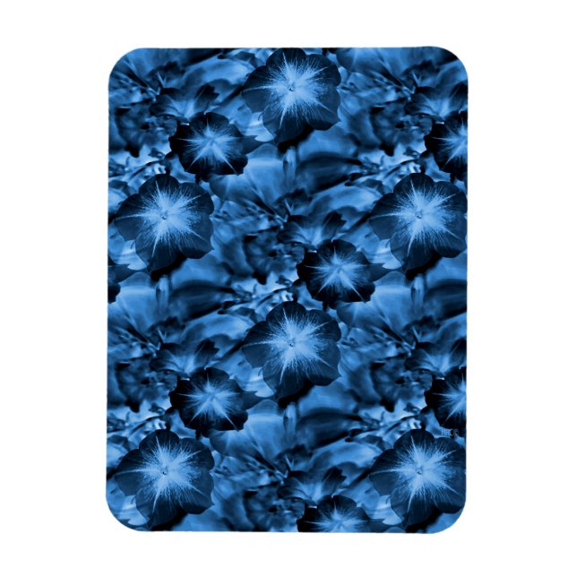 Ímã Azul Silky... (Vertical)
