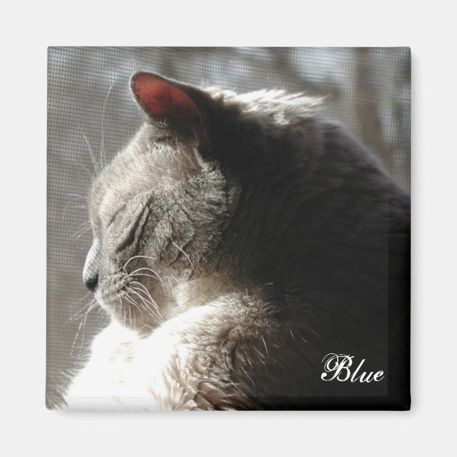 Imã Azul-sol (Frente)