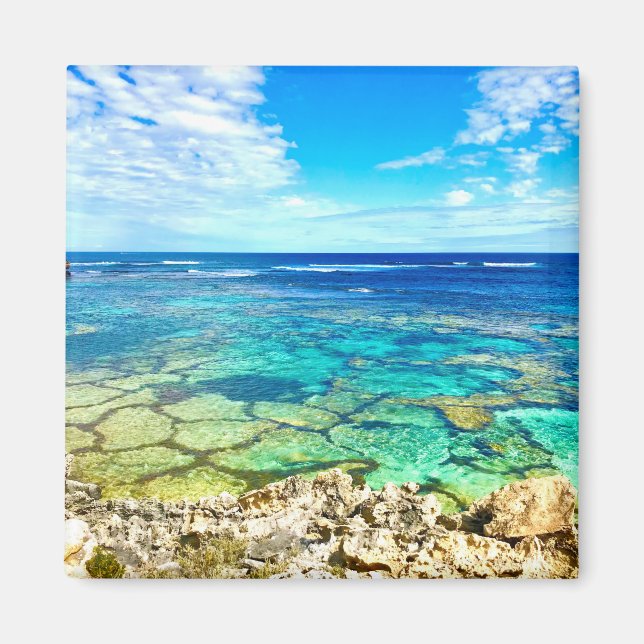 Imã Azure Ocean Reef (Frente)