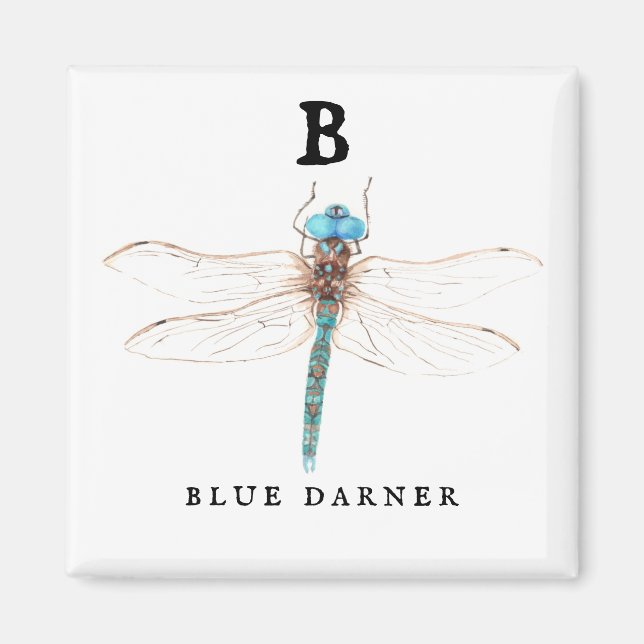 Imã "B" Blue Darner (Frente)