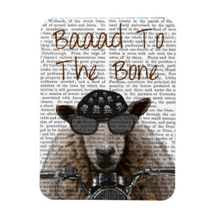 Ímã Baad para o Osso