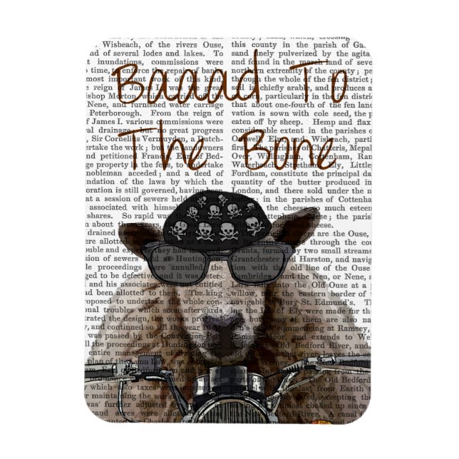 Ímã Baad para o Osso (Vertical)