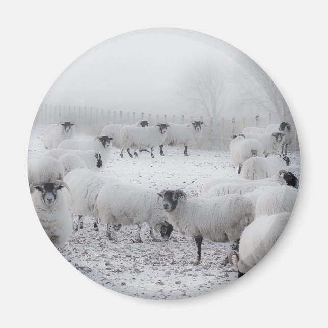 Imã Baad Weather (Frente)