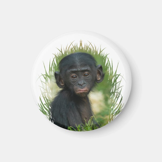 Imã Baby Ape In Grass (Frente)
