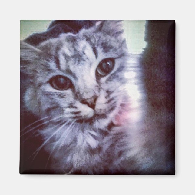 Imã Baby Artemis (Frente)