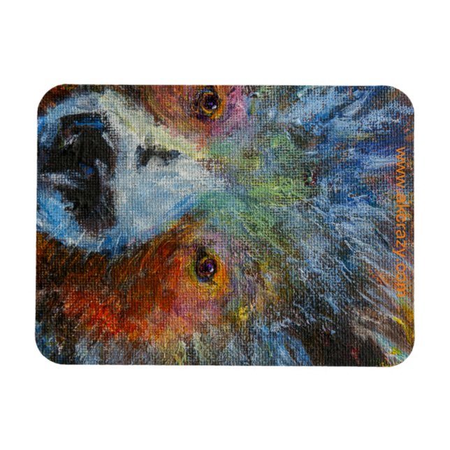 Ímã Baby Bruin Magnet (Horizontal)