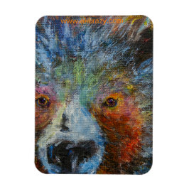 Ímã Baby Bruin Magnet