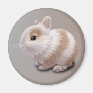 Imã Baby Bunny