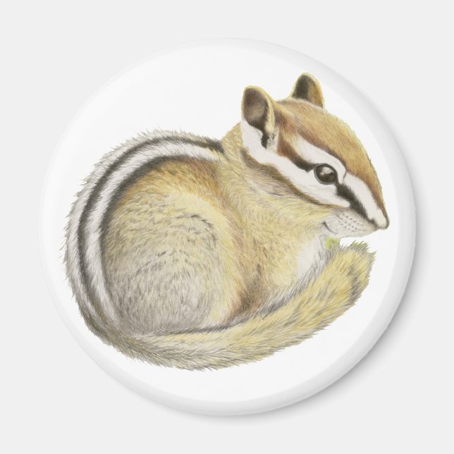 Imã Baby Chipmunk (Frente)