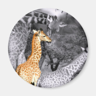 Imã Baby Giraffe