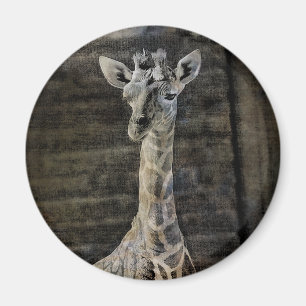 Imã Baby Giraffe