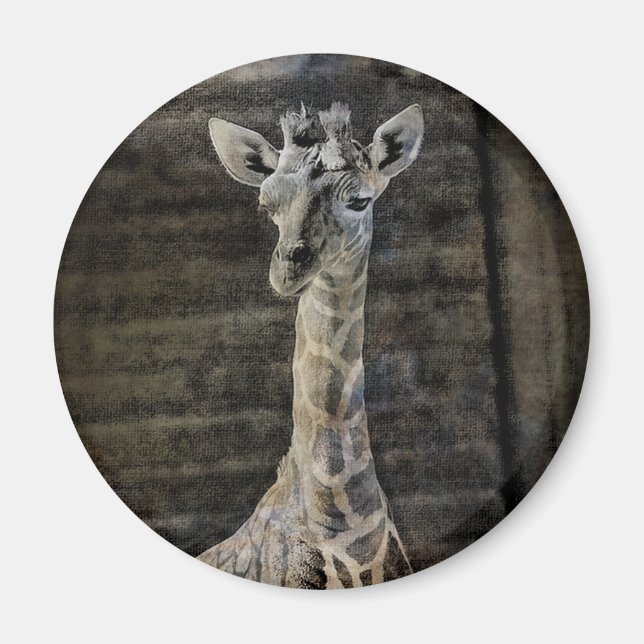 Imã Baby Giraffe (Frente)