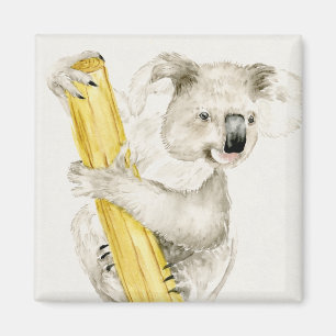 Imã Baby Koala  Cute e Furry