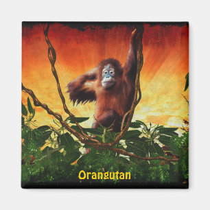 Imã Baby Orangutan & Jungle Willife Art Magnet