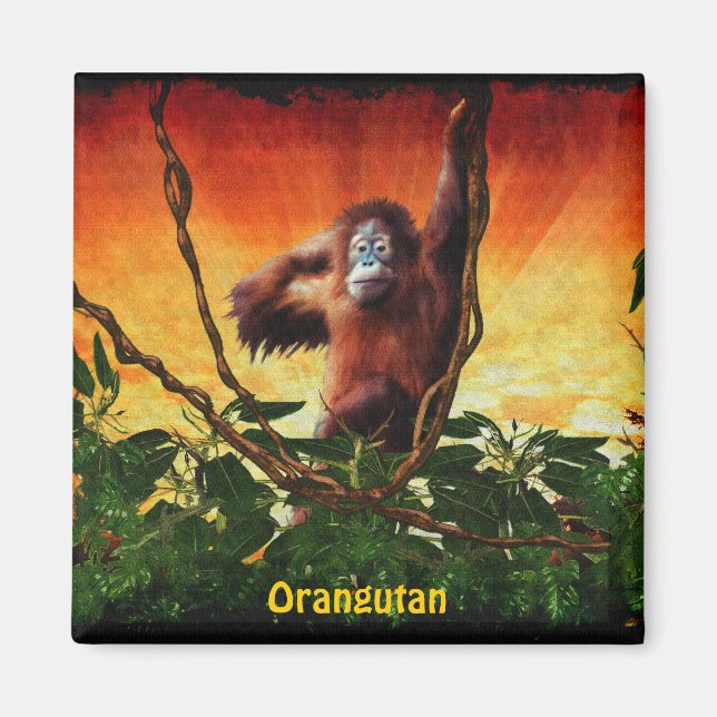 Imã Baby Orangutan & Jungle Willife Art Magnet (Frente)