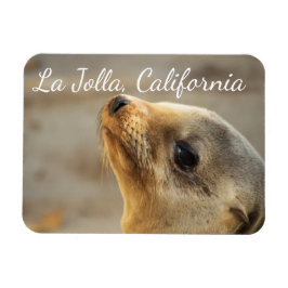 Ímã Baby Sea Lion, La Jolla, Califórnia