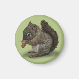 Imã Baby Squirrel
