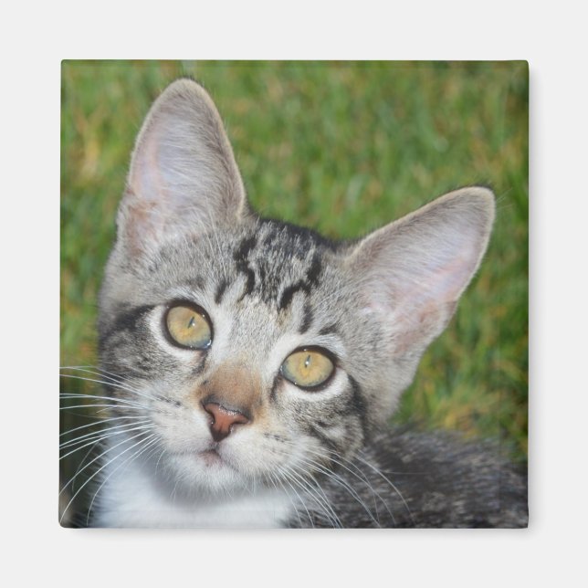 Imã Baby Trinity (Frente)