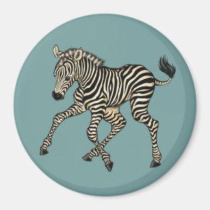 Imã Baby Zebra