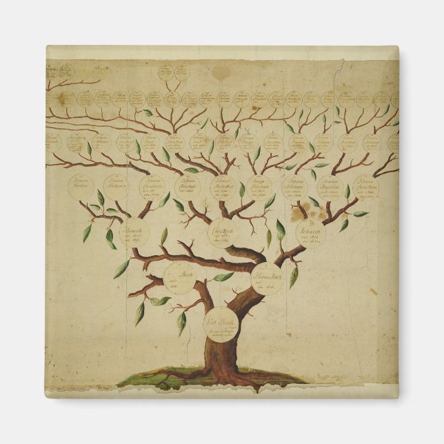 Imã Bach Family Tree, c.1750-1770 (Frente)