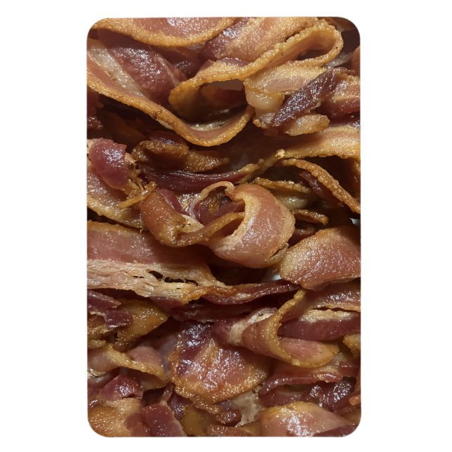 Ímã Bacon (Vertical)