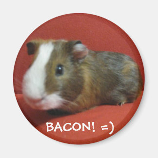 Imã Bacon, BACON! =)