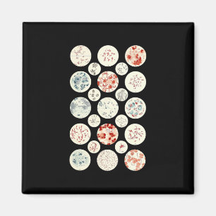 Imã bactéria engraçada microbiologia bactéria ciên