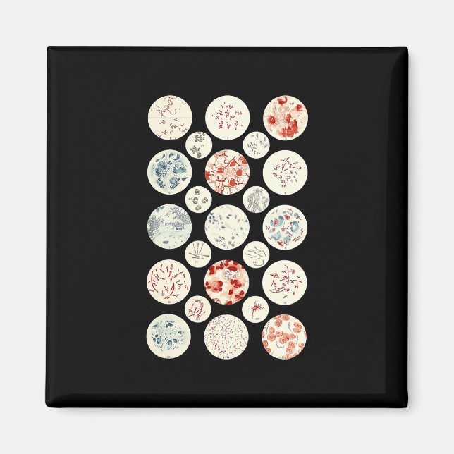 Imã bactéria engraçada microbiologia bactéria ciência  (Frente)