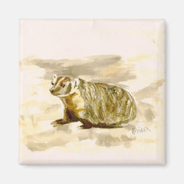 Imã Badger Magnet (Frente)