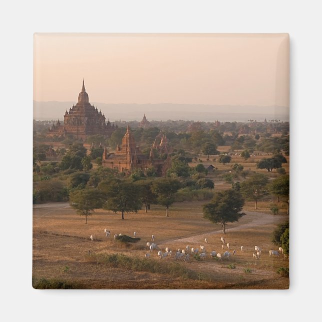 Imã Bagan no Dusk Magnet (Frente)