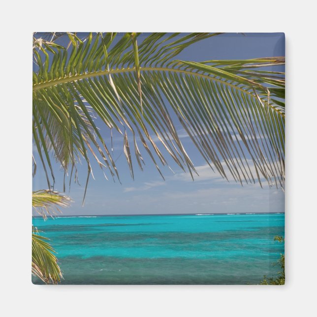 Imã BAHAMAS, Abacos, Loyalist Cays, Man O'War Cay: (Frente)
