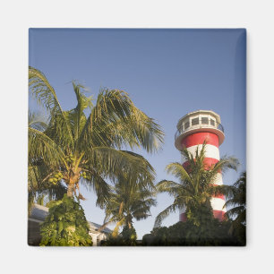 Imã Bahamas, Ilha de Grand Bahama, Freeport, Cenário