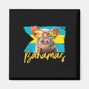 Imã Bahamas Nadando Porcos Caribe Praia Trilhos Verão