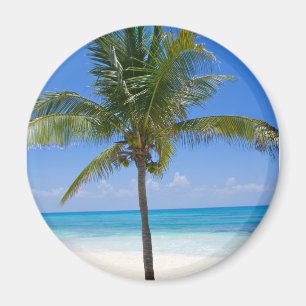 Imã Bahamas Palm