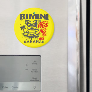 Imã Bahamas Souvenir Gift: Bimini Bahamas Nadando Porc