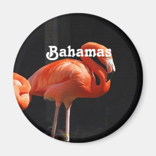 Imã Bahamian Flamingo