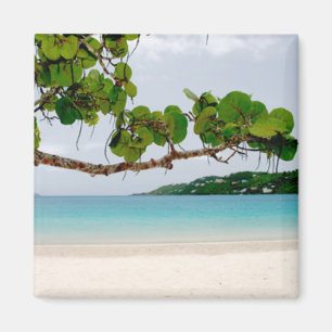 Imã Baía de Magens, St Thomas ímã do quadrado de 2