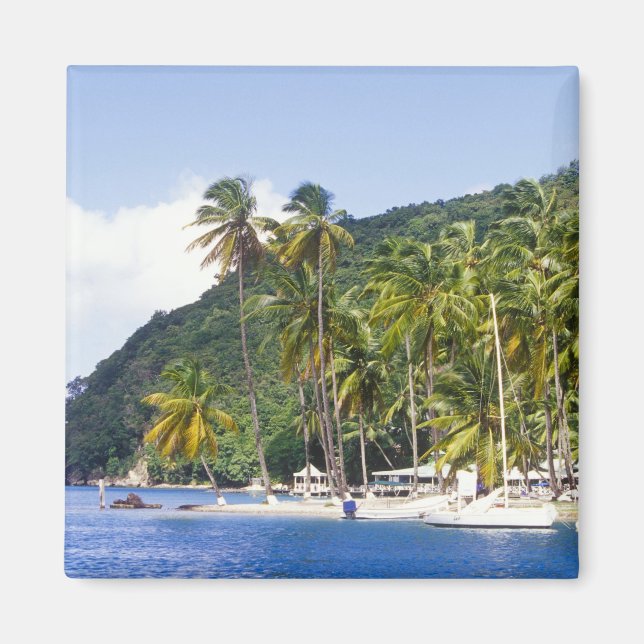 Imã Baía de Marigot, Santa Lúcia, Caribe (Frente)
